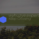 wyhuzye.expert favicon